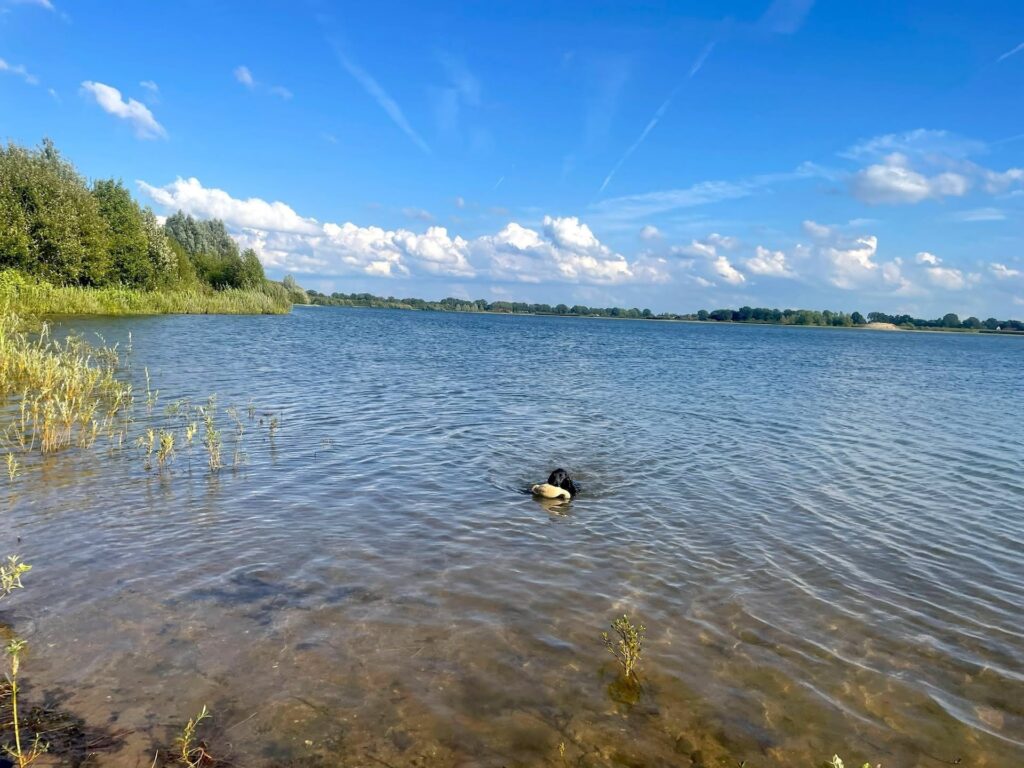 Heide See