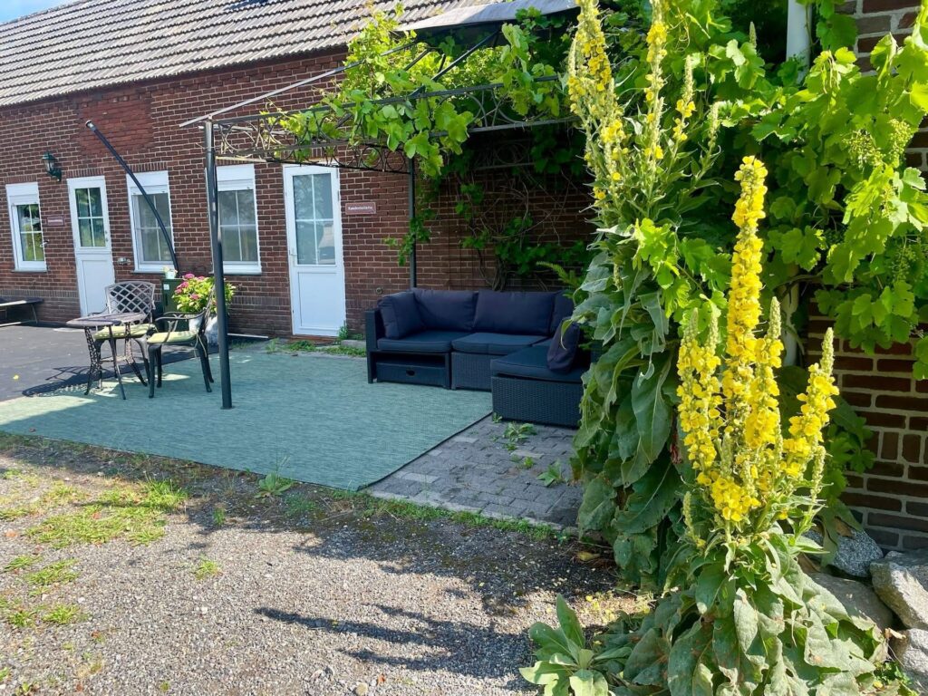 Sitzlounge auf Terrasse