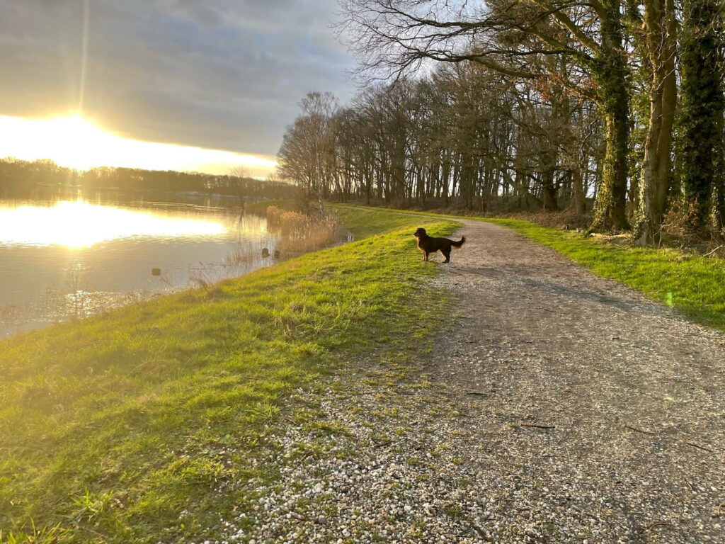 Mookerplas