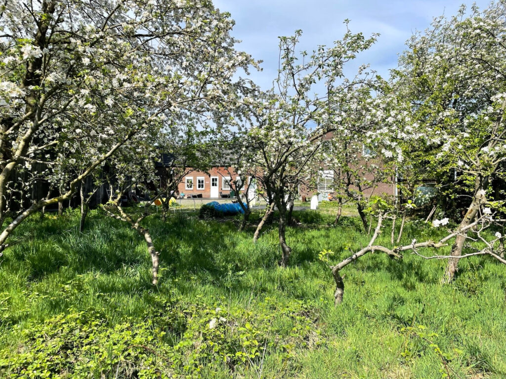 Obstgarten