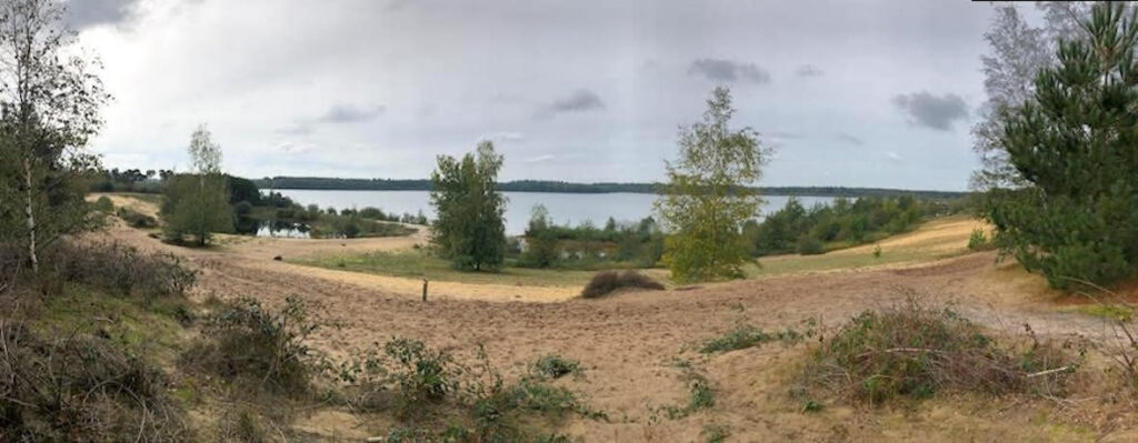 Panorama