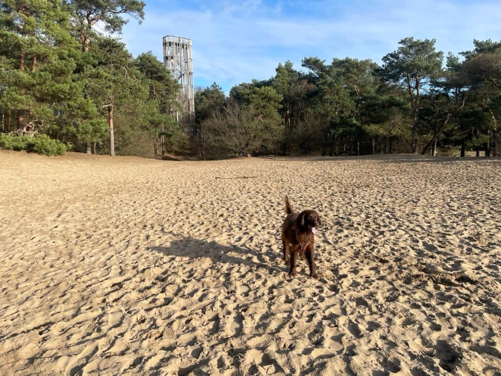 Strandturm